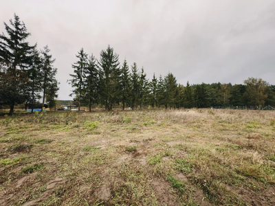 Działka 1681 m² – otoczona lasem i łąkami - 2