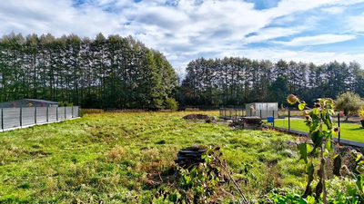 Działka budowlana 787 m² w Nowym Dworze - 2