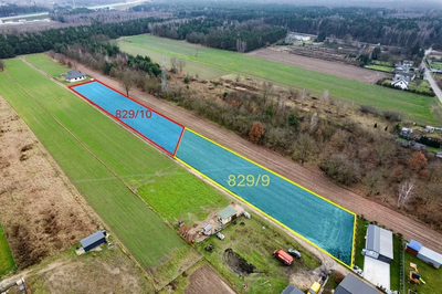 3002 m² natury i spokoju w Gręzowie - 3