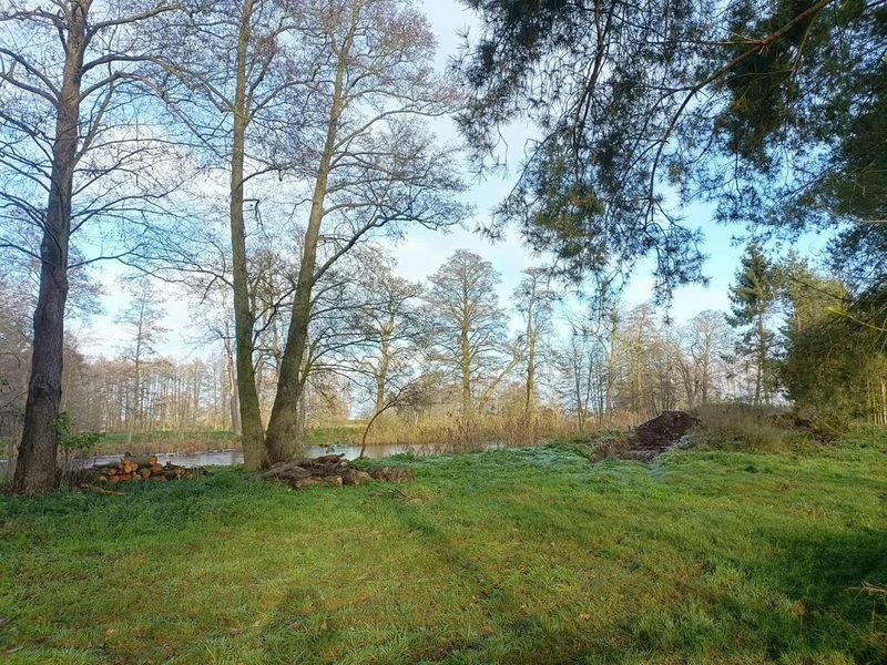 Wymarzone siedlisko - las, jezioro, rzeka - 109336423.jpg
