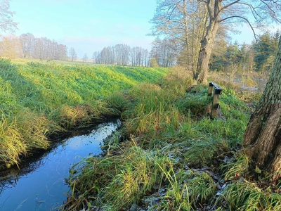 Wymarzone siedlisko - las, jezioro, rzeka - 5