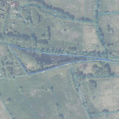 Wymarzone siedlisko - las, jezioro, rzeka - 4