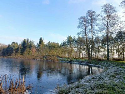 Wymarzone siedlisko - las, jezioro, rzeka - 2