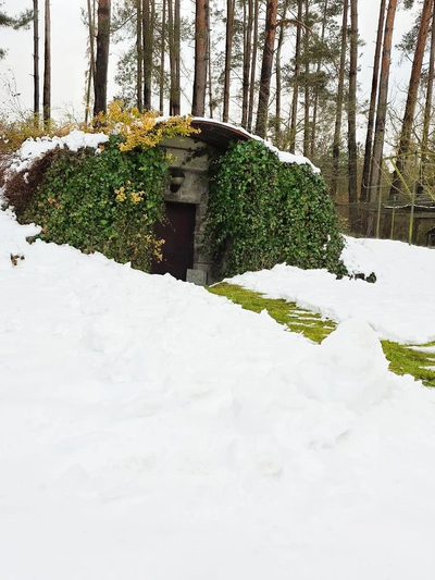 Nowy Dwór, piękny dom pod lasem na sprzedaż - 4