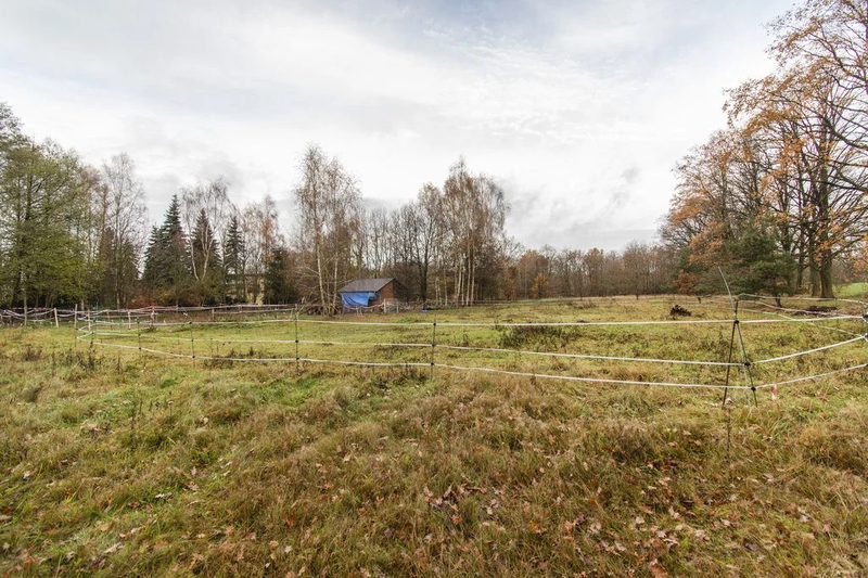 Płaska działka 1,34 ha, idealna pod inwestycję - 110491831.jpg