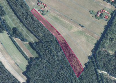 56 arów pod dom + las, razem 1,39 ha