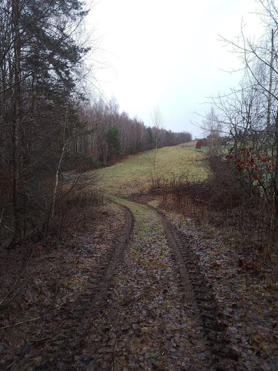 56 arów pod dom + las, razem 1,39 ha - 3