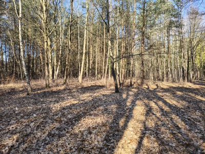 Sokolniki-Las: 2442m2 przestrzeni na rezydencję