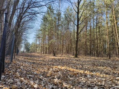 Sokolniki-Las: 2442m2 przestrzeni na rezydencję - 5