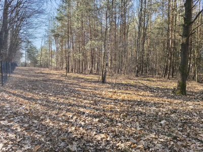Sokolniki-Las: 2442m2 przestrzeni na rezydencję - 4