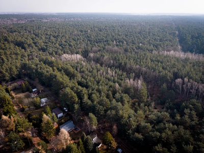 Sokolniki-Las: 2442m2 przestrzeni na rezydencję - 3