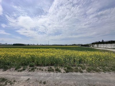 Działki na sprzedaż w Bożnowie - 2
