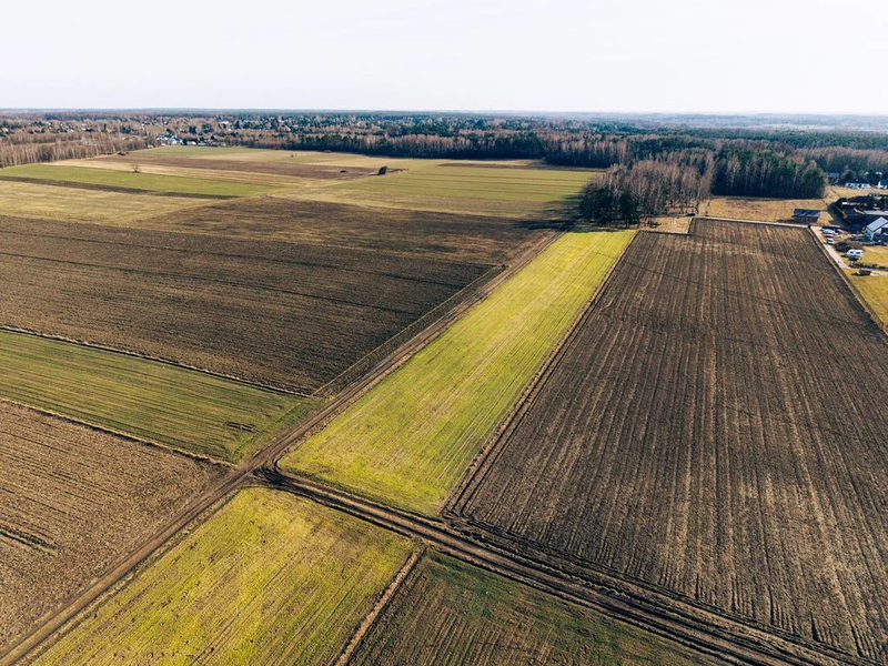 Ostatnia działka w Nowym Bedoniu - 111306709.jpg
