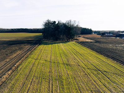 Ostatnia działka w Nowym Bedoniu - 3