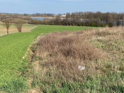 Wyjątkowa działka nad jeziorem Skorzęcin