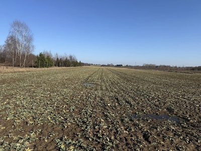 Natolin: Gdzie szum trasy zwiastuje sukces! 3,35ha - 2