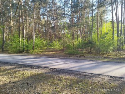 Działka budowlana 1200 m² Helenów, MPZP