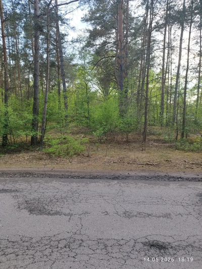 Działka budowlana 1200 m² Helenów, MPZP - 5