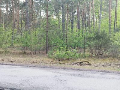 Działka budowlana 1200 m² Helenów, MPZP - 3