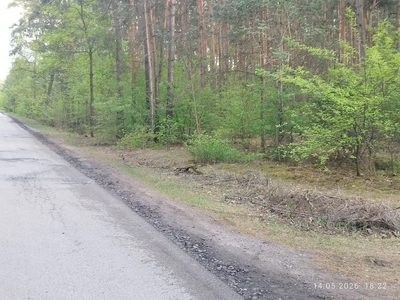 Działka budowlana 1200 m² Helenów, MPZP - 2