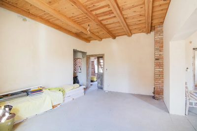 Siedlisko z duszą–2,26 ha prywatności pod Lubinem - 4