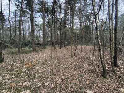 Zofiówka: 1010 m² ciszy blisko Łodzi - 5