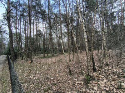 Zofiówka: 1010 m² ciszy blisko Łodzi - 3