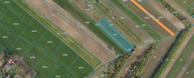 Działka budowlana 3000 m² Dąbrówka - Marianka - 3