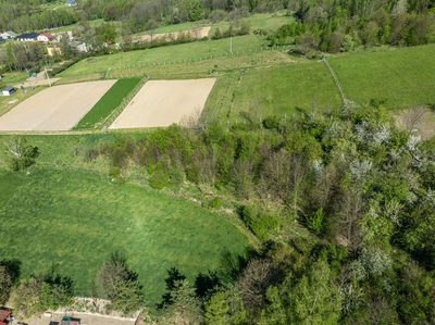 Widokowa działka budowlana | Lubenia | 2800 m² - 4