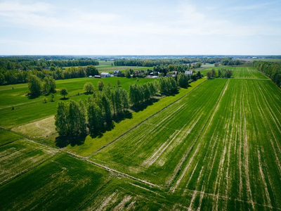 Las, cisza i zieleń - miejsce na Twój nowy dom - 5