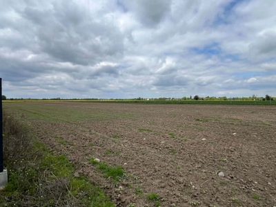 Działka 1000m2 Paprotnia – buduj się od zaraz!
