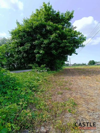Działka pod inwestycję - 7km od morza, spokój! - 2