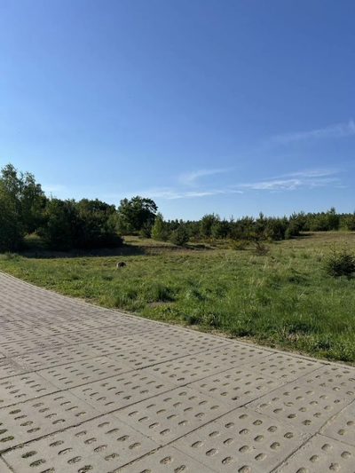 Działka w Borku-1km od jeziora! Uzbrojona! - 3