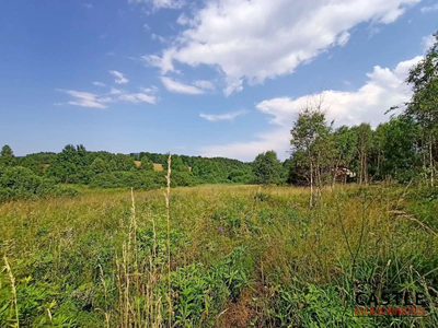 100 zł za 1m2 I Olszanka I pod budowę - 3