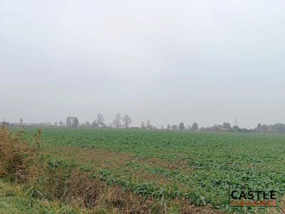 IKąty Rybackie I Zalew Wiślany I spokojna okolica - 3