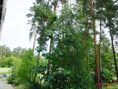 Stegna I Lipowa I 2 pokoje I gotowe do wejścia - 4