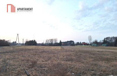 Działka z projektem przy lesie i jeziorze–Kornelin - 4