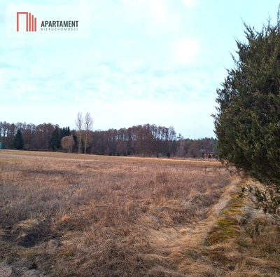 Działka z projektem przy lesie i jeziorze–Kornelin - 2