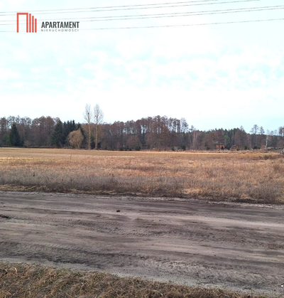 Działka z projektem przy lesie i jeziorze–Kornelin - 5