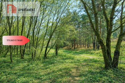 Działki budowlane w zaciszu lasu. Grabowiec. - 5