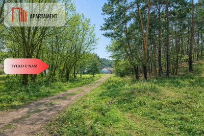 Działki budowlane w zaciszu lasu. Grabowiec. - 4