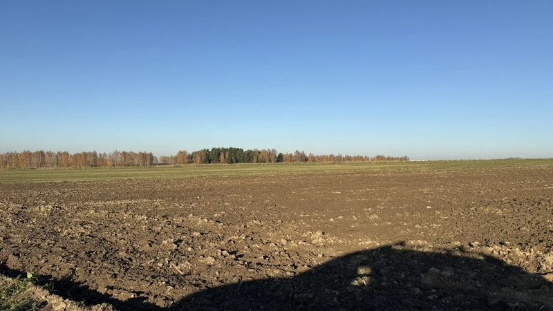 Działka inwestycyjna na sprzedaż – Dąbrówka Wielka - 109173961.jpg