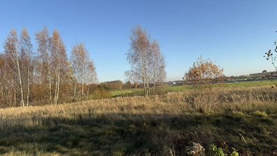 Działka inwestycyjna na sprzedaż – Dąbrówka Wielka - 2