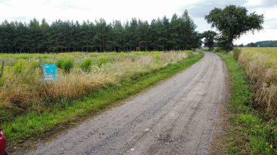 Działka 3000 m2 puszcza zielonka - 4