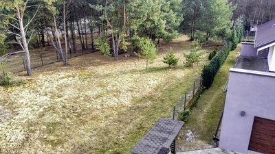Urokliwa działka porośnięta sosnami - 5