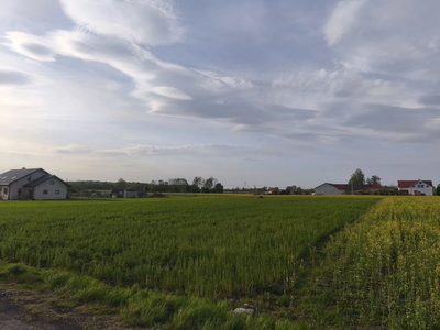 Działka Wola Miedniewska 2999m2 z WZ - OKAZJA! - 5