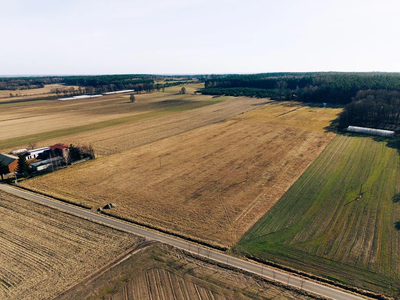 Działka 4,14 ha z zabudową zagrodową w Modlnej - 2