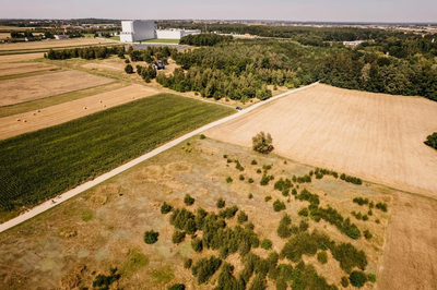 Działka rolna w gminie Opatówek - 5