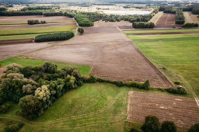 Działki Lisków - 6 dzialek do wyboru - 3