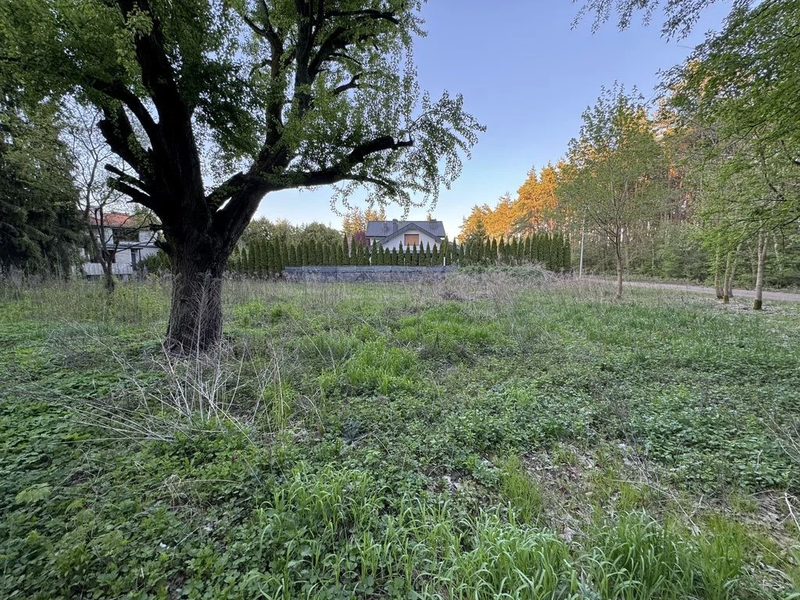 1233 m² spokoju. Las za płotem w Puszczykowie - 112296908.jpg